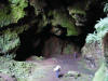 Cueva das Chollas y Schistostega pennata (Hedw.) Webb & Mohr