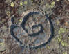 petroglifo del castro de Vilar de Caurel